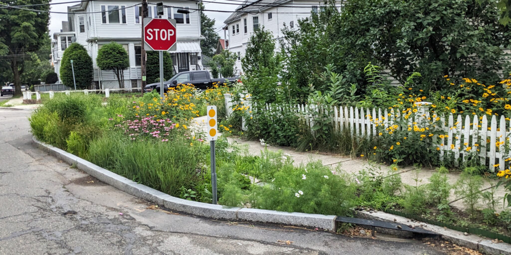 A curbside rain garden.  The curb has been bumped out, and there are tall-growing plants and flowers between the curb and the sidewalk.